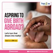 Giving BIrth Abroad